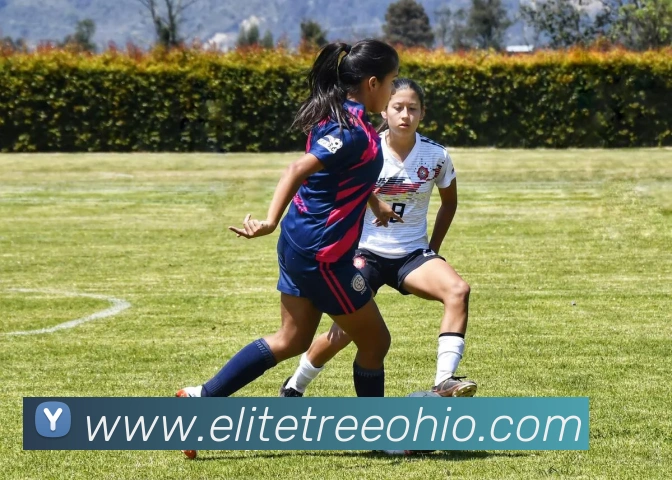 国际认证